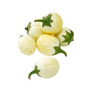 Aubergine