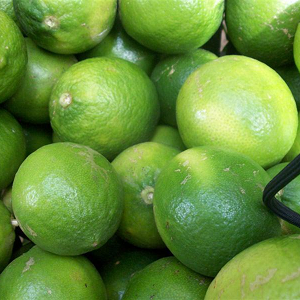 Filet de citron de 25 Kg