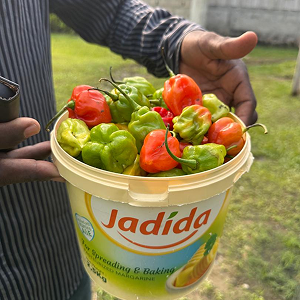 Pot de piment
